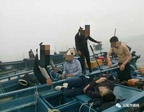 广东陆丰市爆料事件最新,真相与争议交织